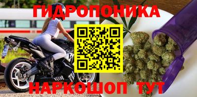 дурь Нальчик